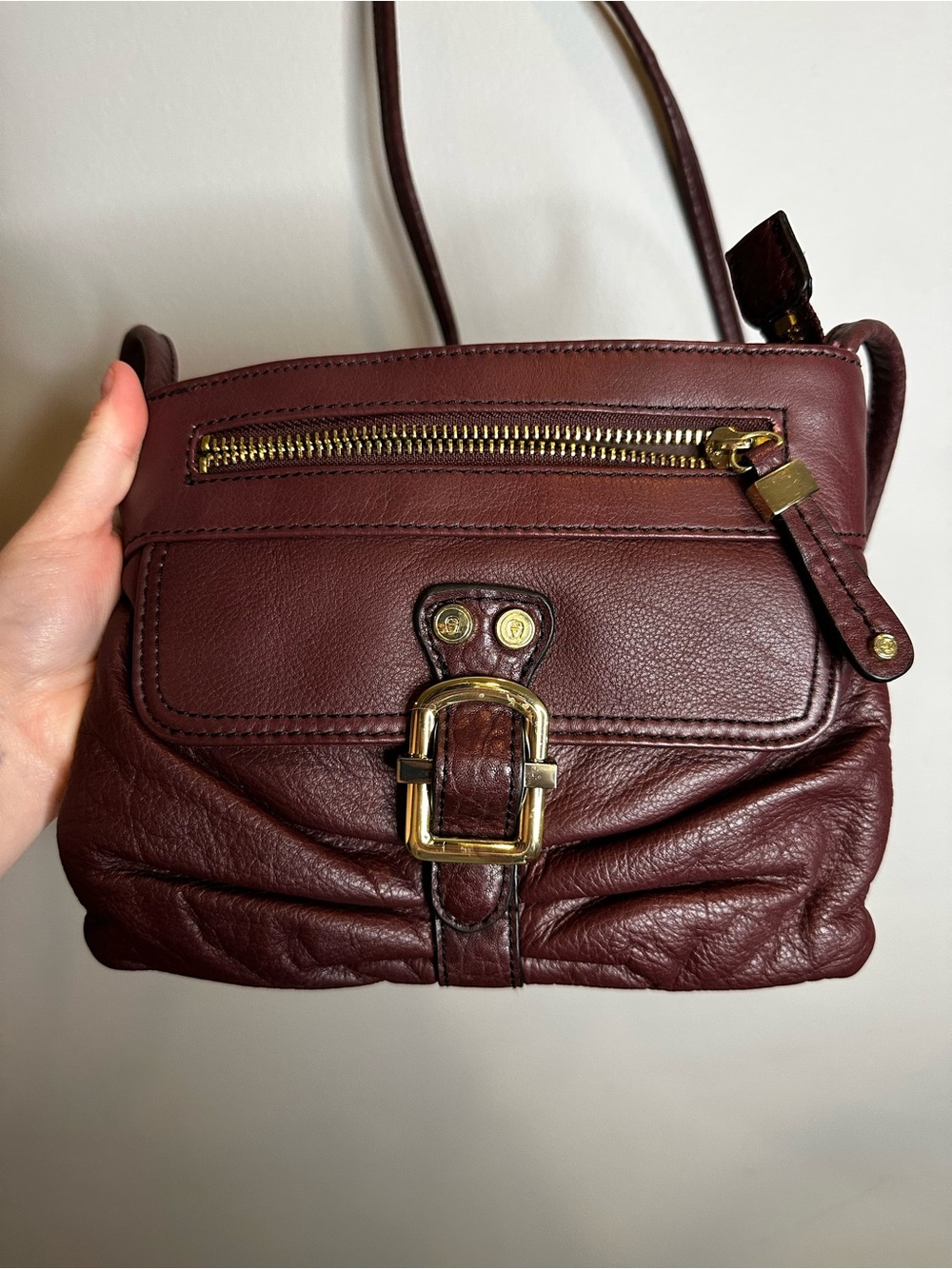 Etienne Aigner Burgundy Leather Crossbody with Gold Hardware